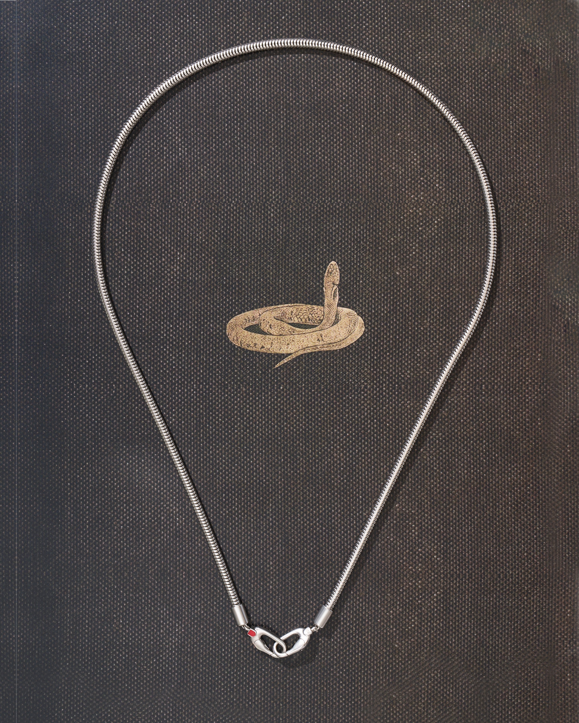 THE SNAKE